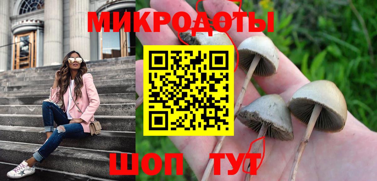 Галлюциногенные грибы Cubensis  Вход с VPN  Гусь-Хрустальный 