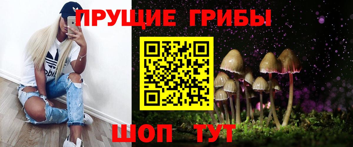 Псилоцибиновые грибы Psilocybe Гусь-Хрустальный