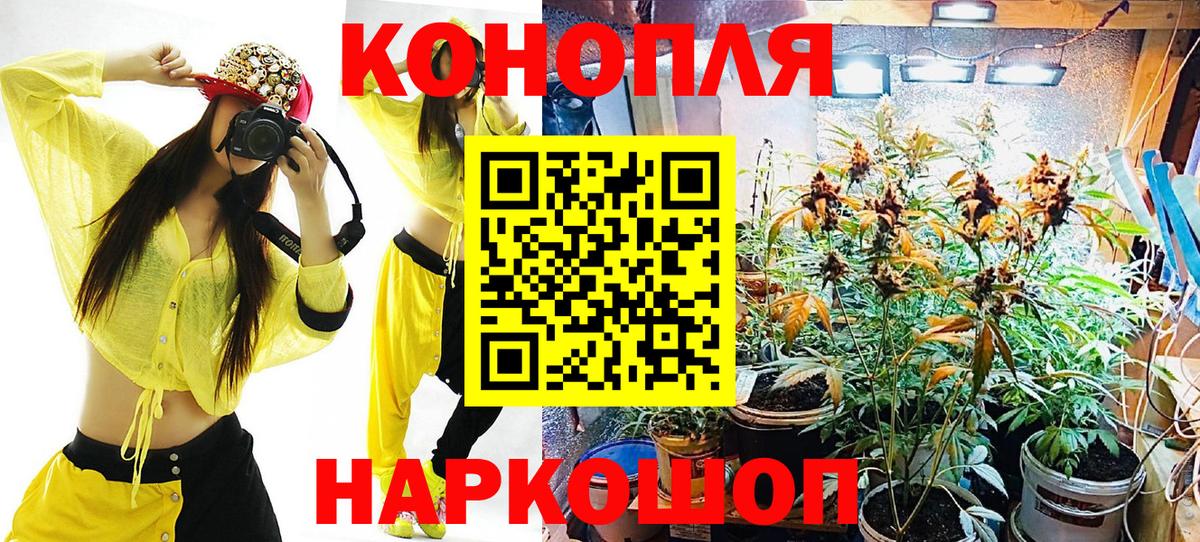 Канабис конопля Гусь-Хрустальный